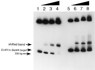 FIG. 5