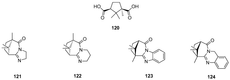 Figure 31