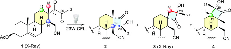 Scheme 2