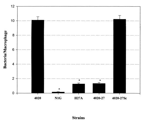 FIG. 6