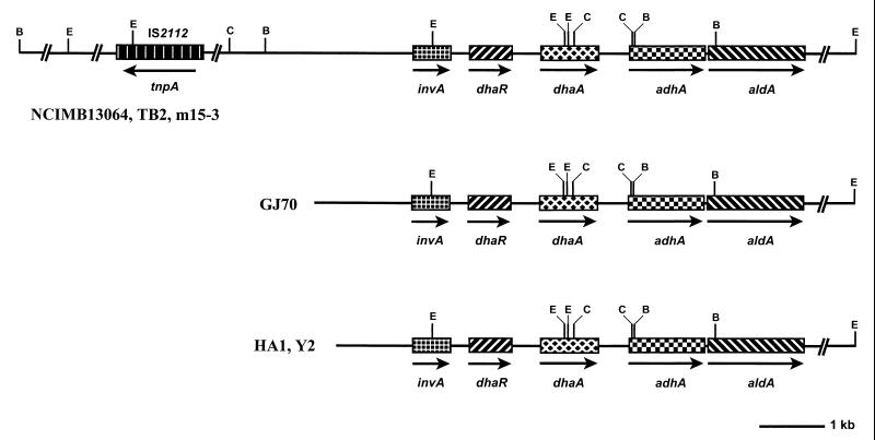 FIG. 6