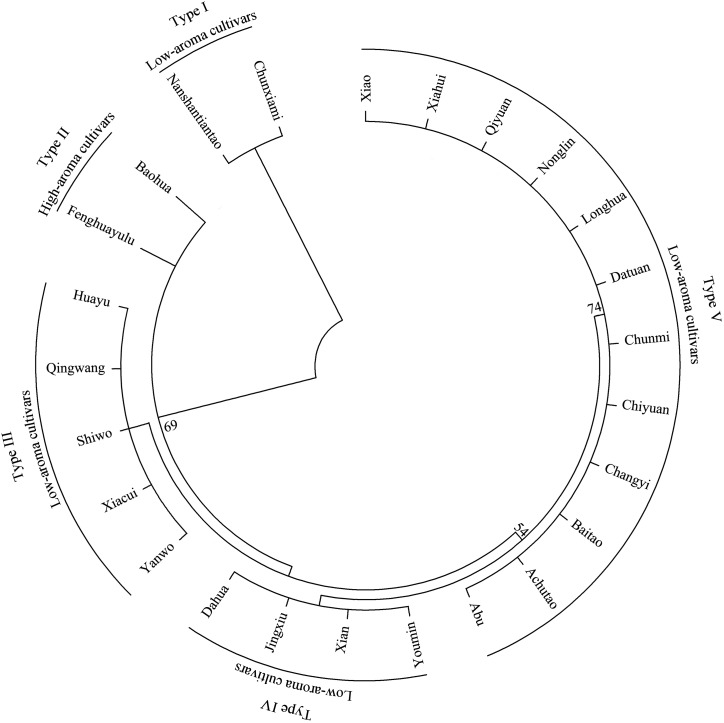 Figure 5.