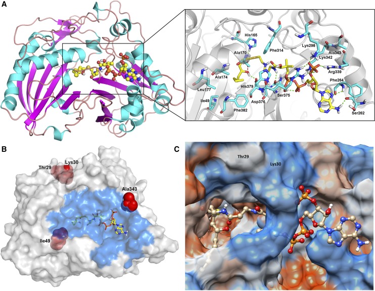 Figure 4.