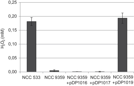 FIG 6