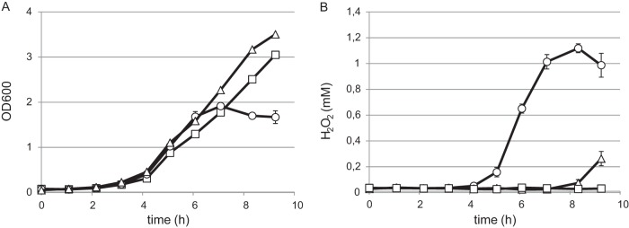 FIG 1