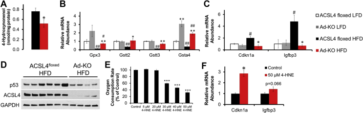 Figure 6