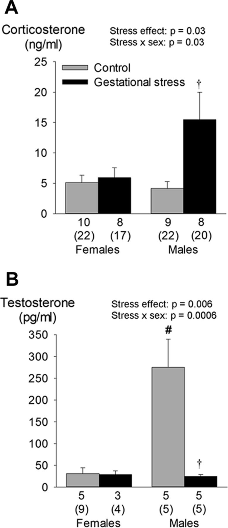 Figure 6.