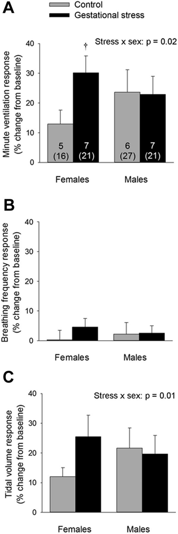 Figure 7.