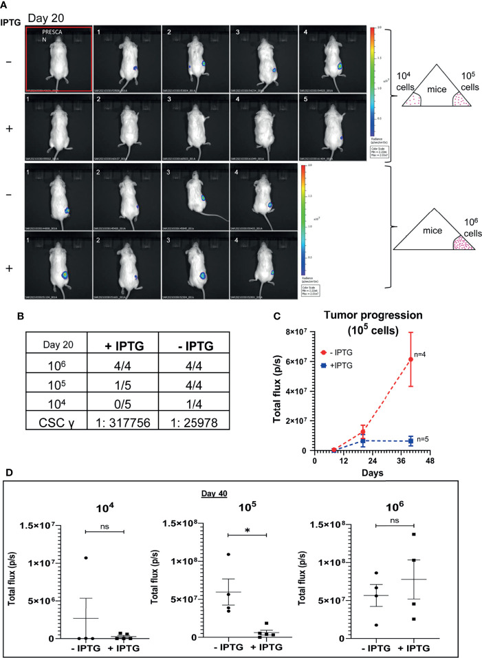 Figure 2