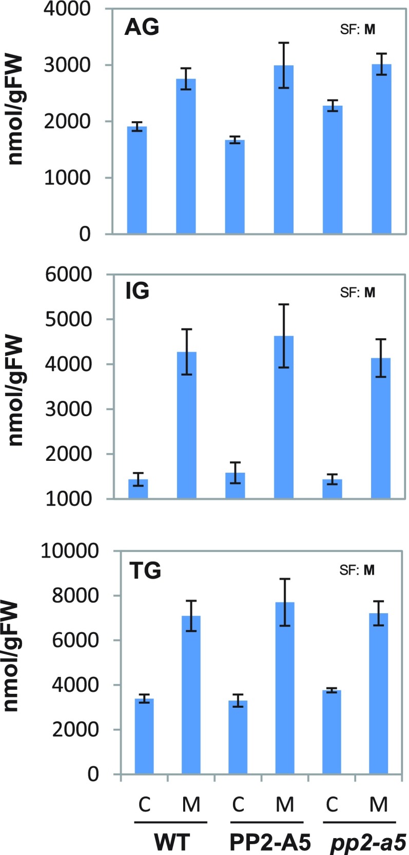 Figure 10.