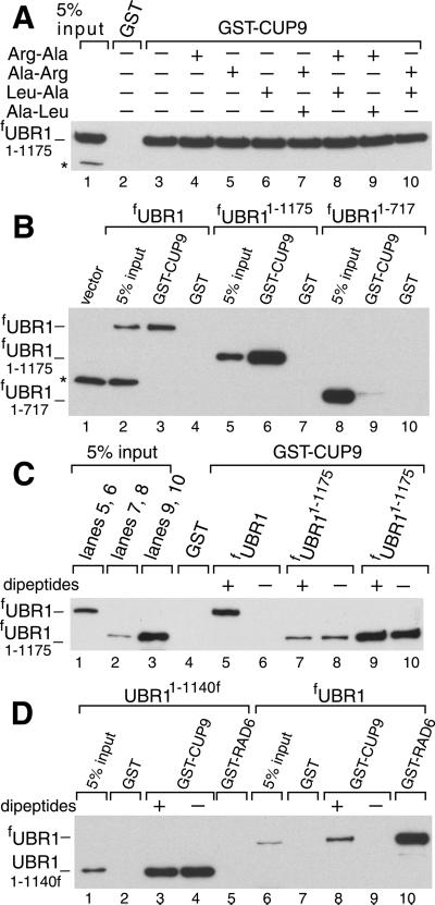 Fig 4.