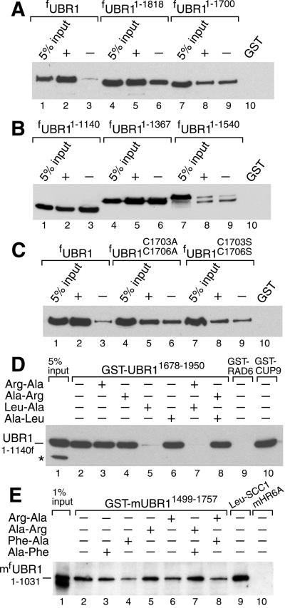 Fig 5.