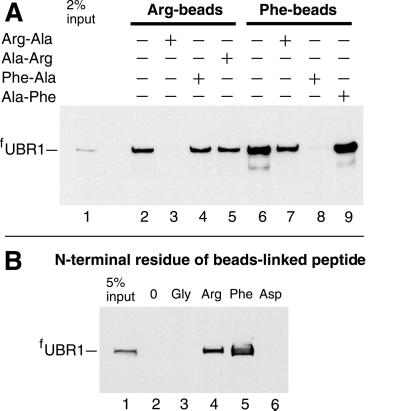 Fig 3.