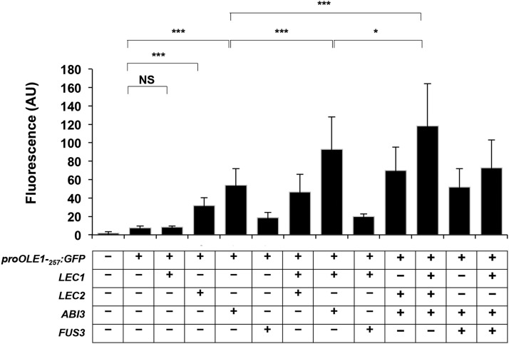 Figure 3.