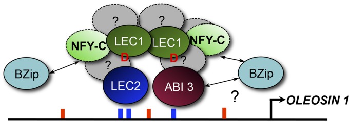 Figure 7.