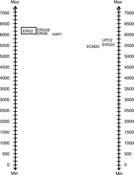 FIG. 7.