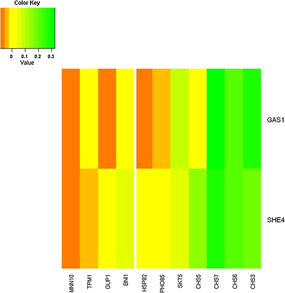 FIG. 3.