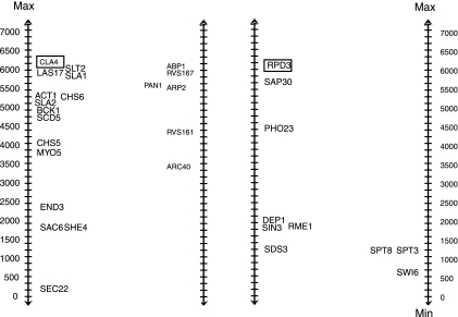 FIG. 2.