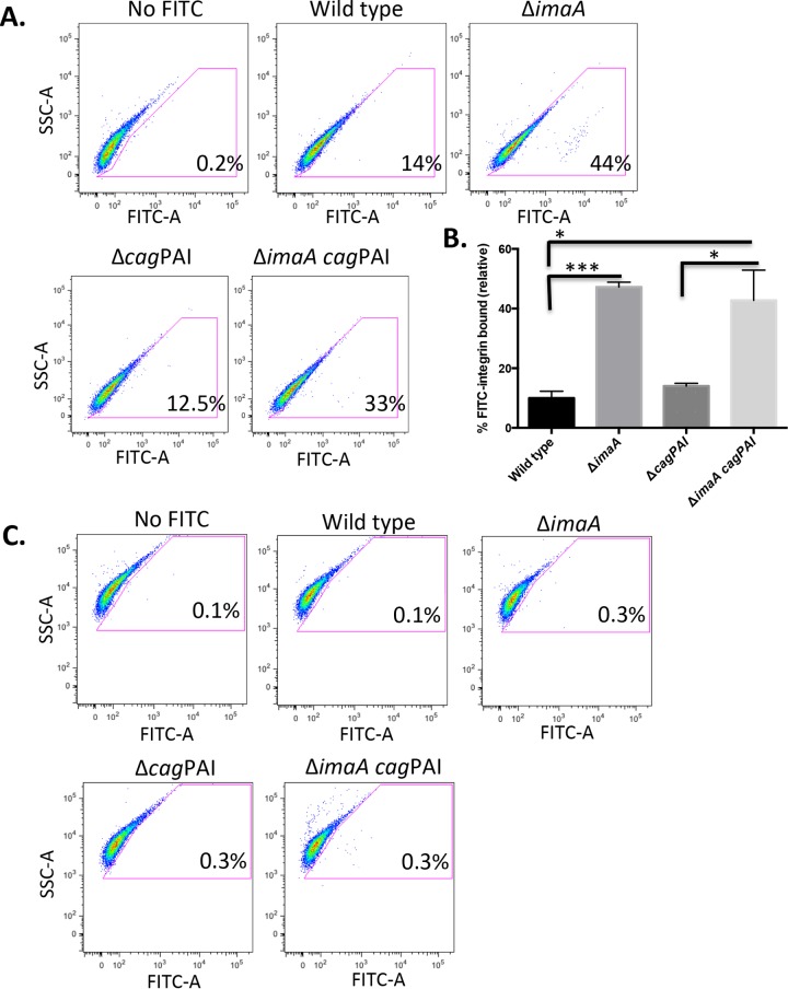 FIG 4