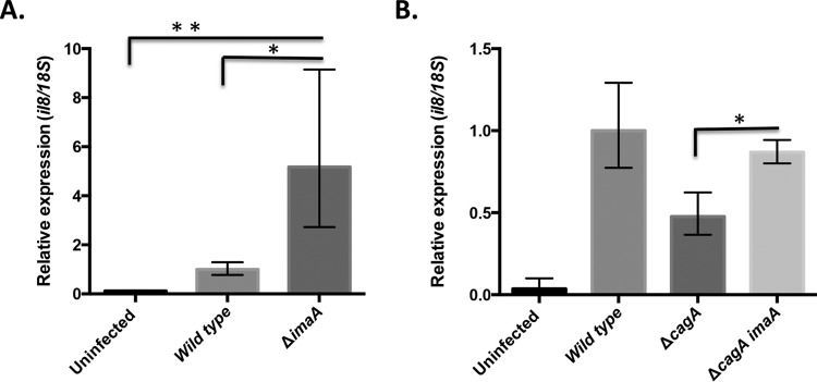 FIG 1