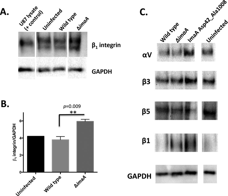 FIG 6