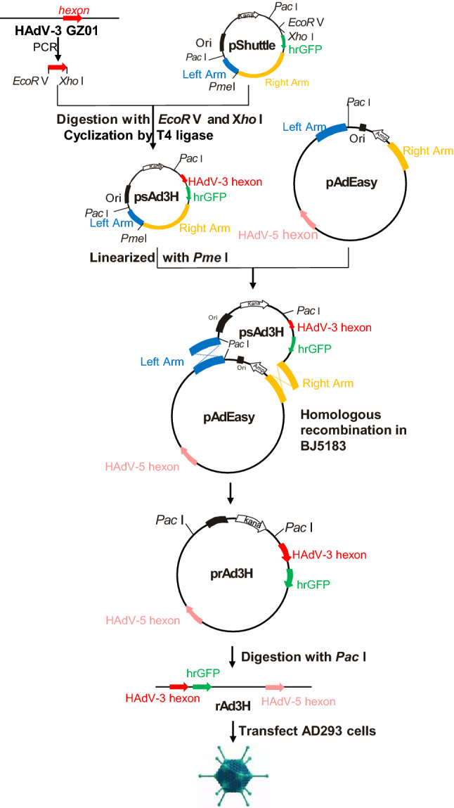 Fig. 1