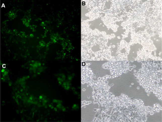 Fig. 3