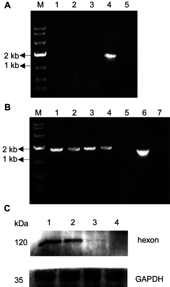 Fig. 4