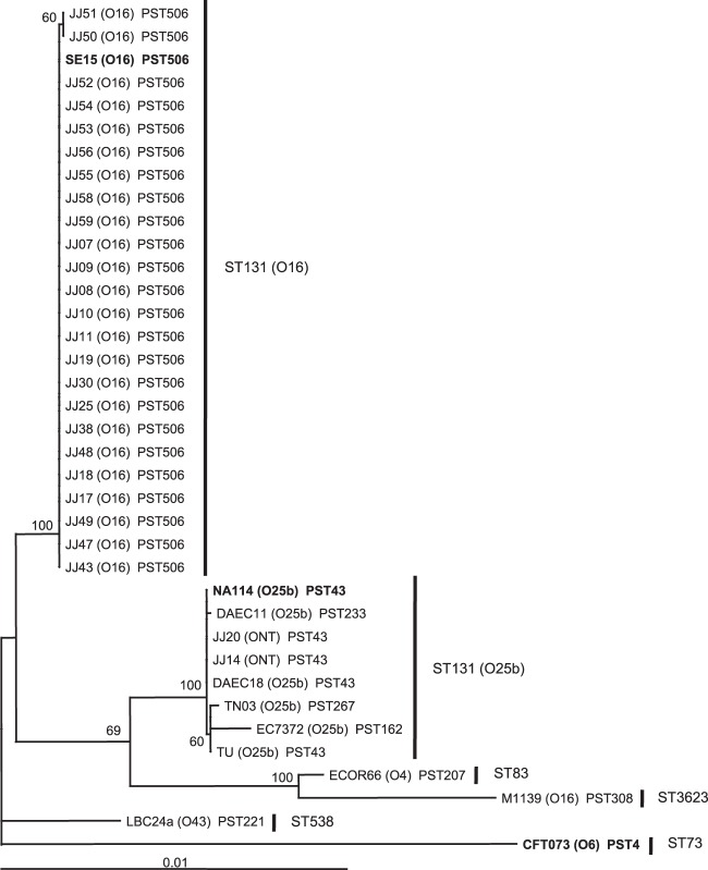 FIG 2