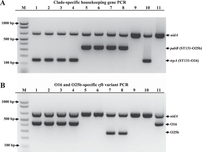 FIG 1