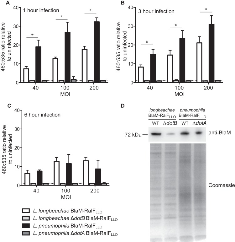 FIG 2