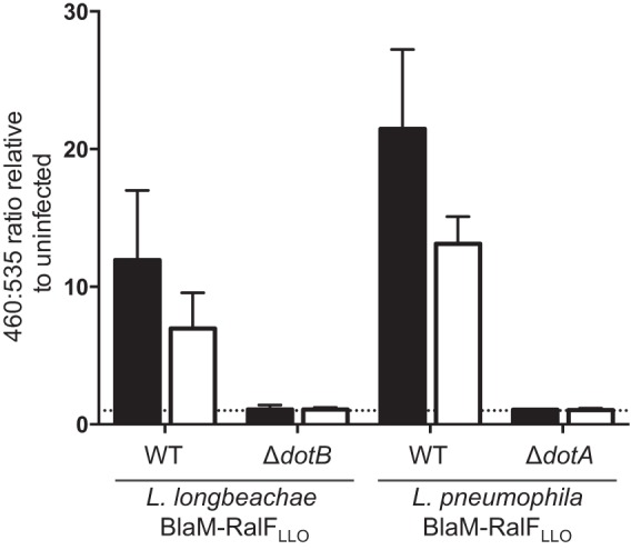 FIG 3