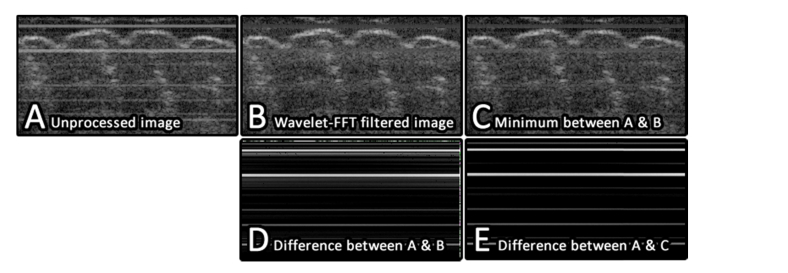 Fig. 4