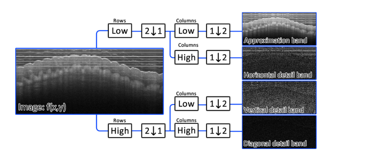 Fig. 3