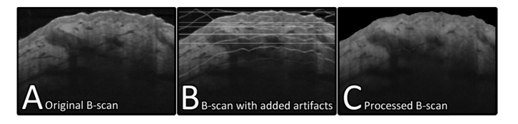 Fig. 6