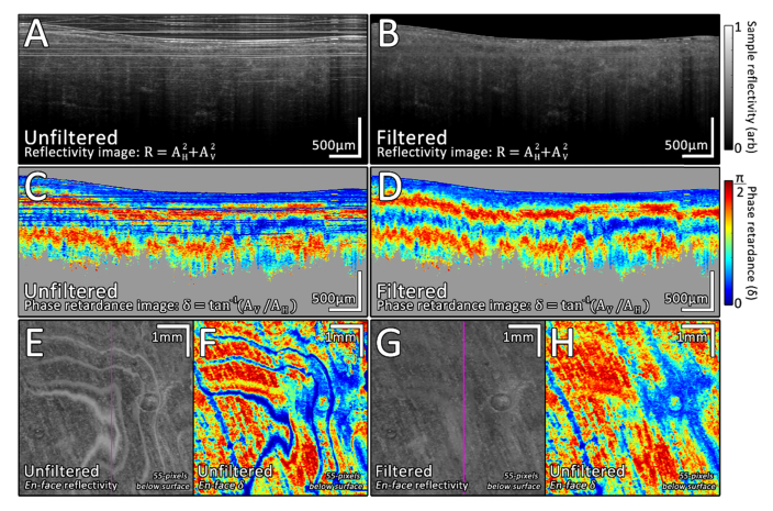 Fig. 7