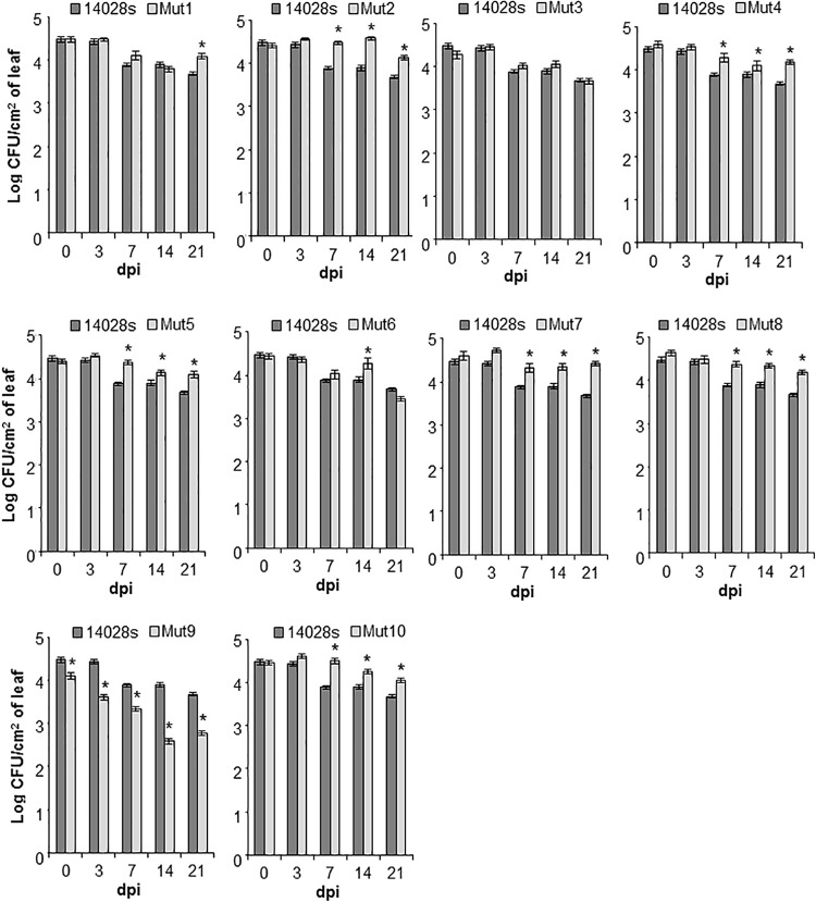 FIGURE 4