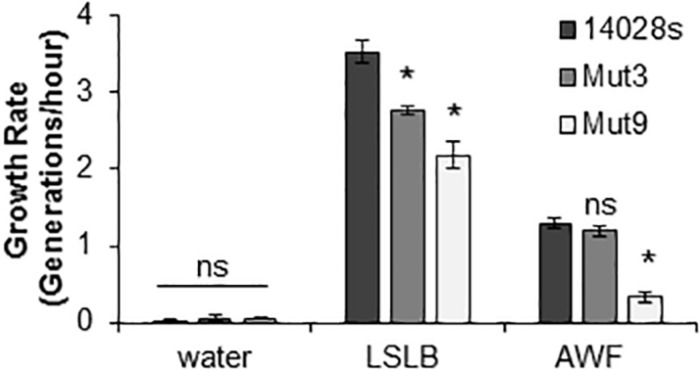 FIGURE 6