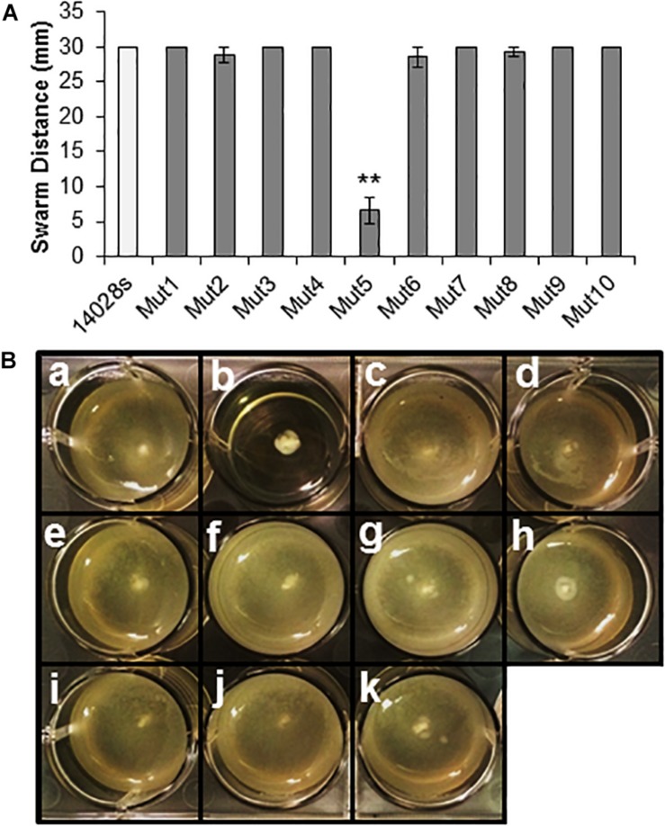 FIGURE 3