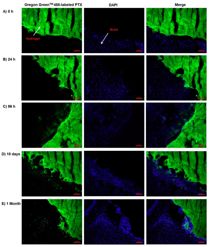 Figure 10