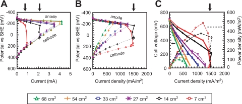 FIG. 1.