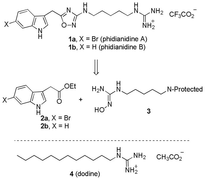 Scheme 1