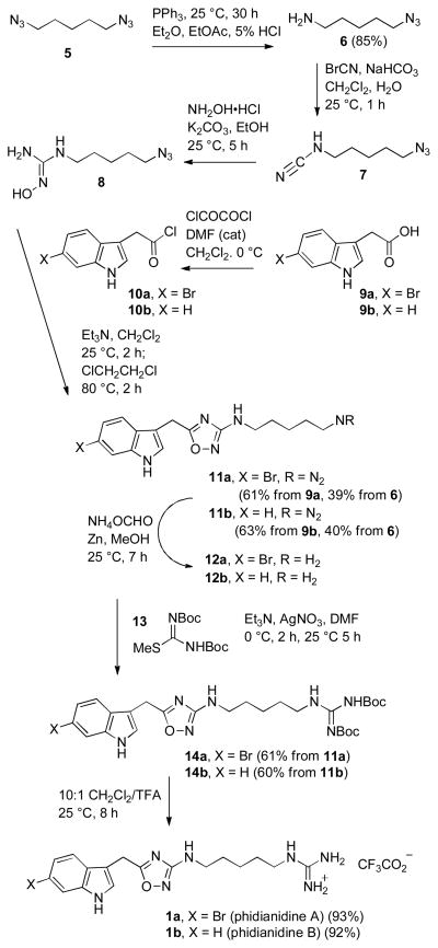 Scheme 2