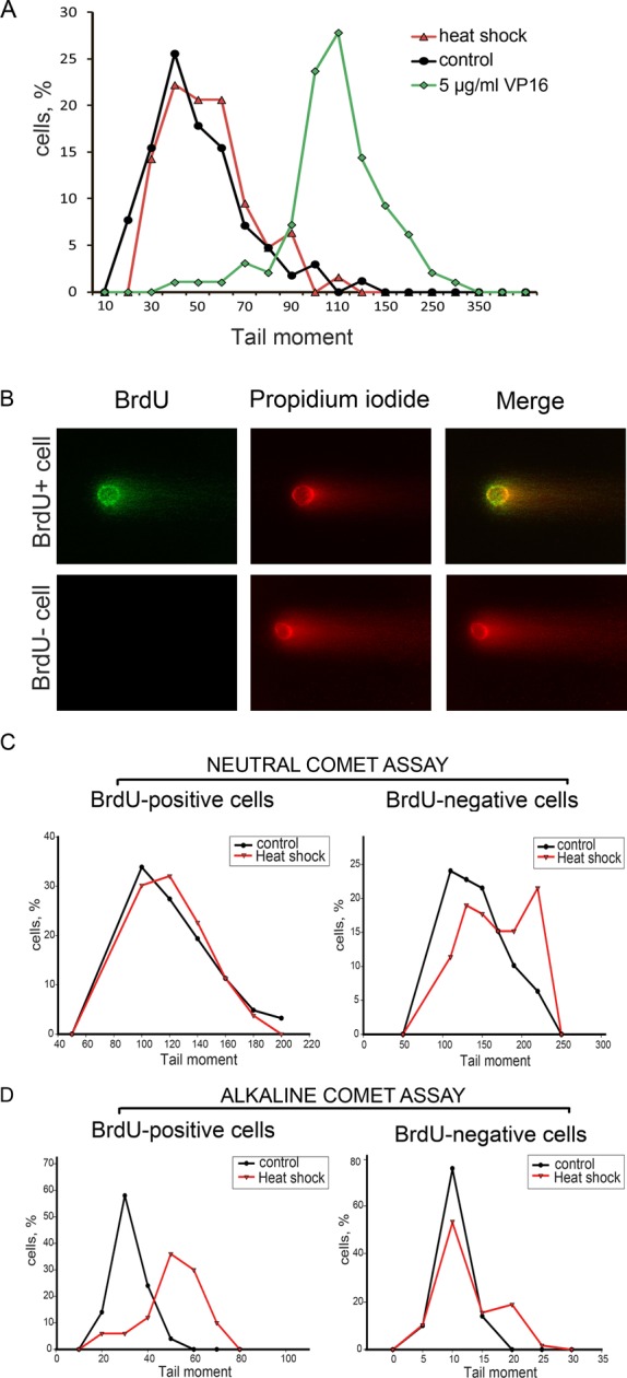 FIGURE 3: