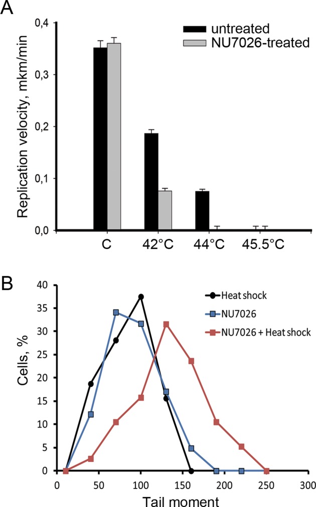 FIGURE 7: