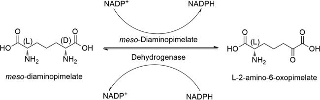 FIG 1