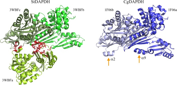 FIG 3