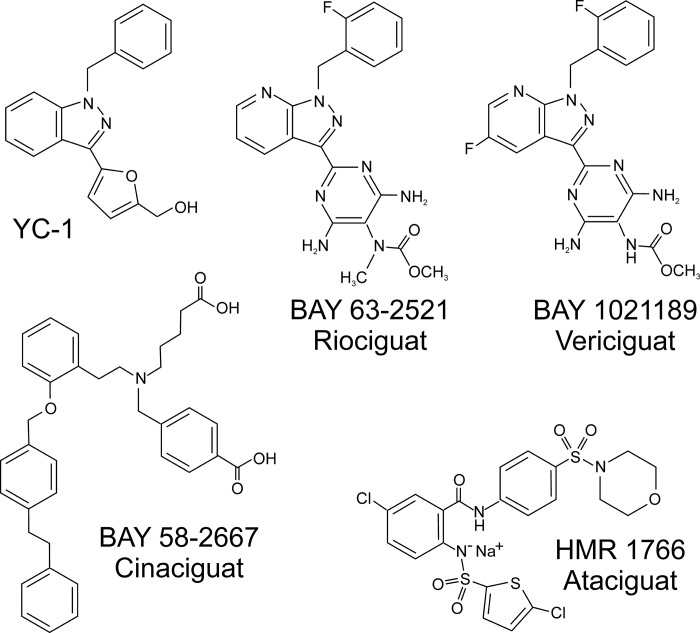 FIGURE 6.