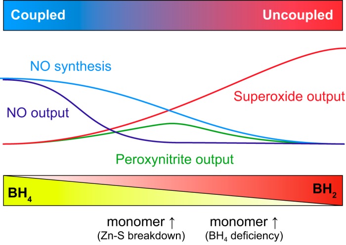 FIGURE 12.