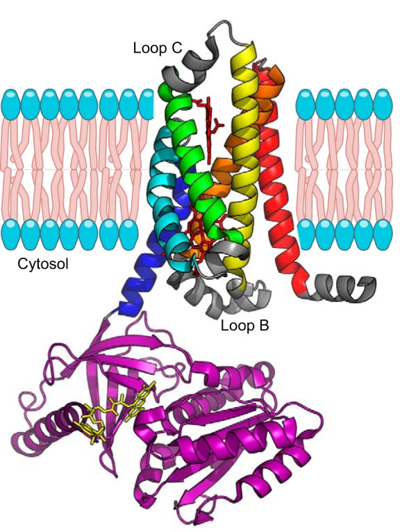 FIGURE 7.